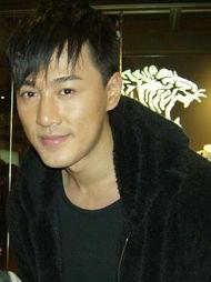 林峰近期爆料视频大全,揭秘幕后故事与心路历程  第1张