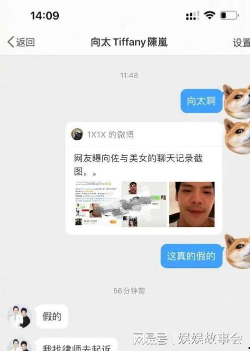 雅江网红爆料视频最新版,揭秘网红圈幕后真相